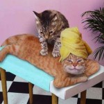 Massaggiare il gatto